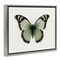 Stupell Industries Green Symmetrical Butterfly Framed Floater Canvas Wall Art Design by Elizabeth Medley